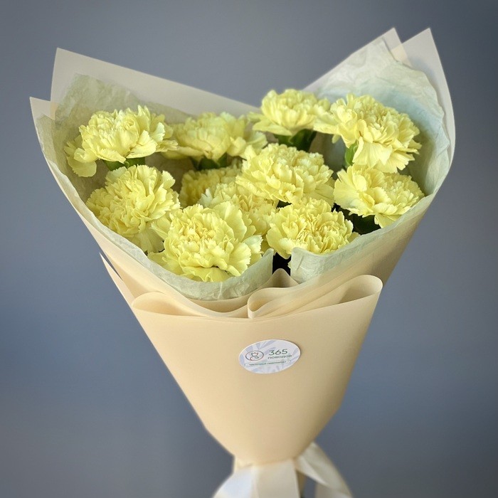 Букет из 19 желтых гвоздик в крафте с лентой, Голландия